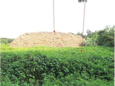 鹿児島県奄美市 農地 107万円の競売物件 #13