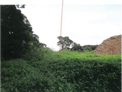 鹿児島県奄美市 農地 107万円の競売物件 #14