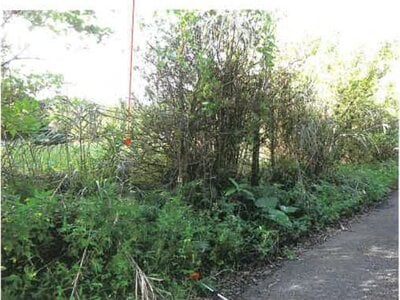 鹿児島県奄美市 農地 107万円の競売物件 #15
