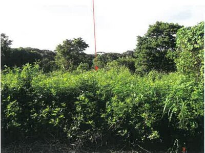 鹿児島県奄美市 農地 107万円の競売物件 #18