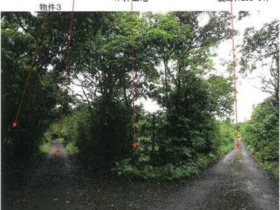 鹿児島県奄美市 農地 107万円の競売物件 #2