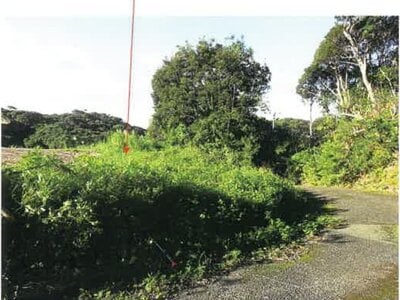 鹿児島県奄美市 農地 107万円の競売物件 #20