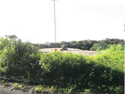 鹿児島県奄美市 農地 107万円の競売物件 #21