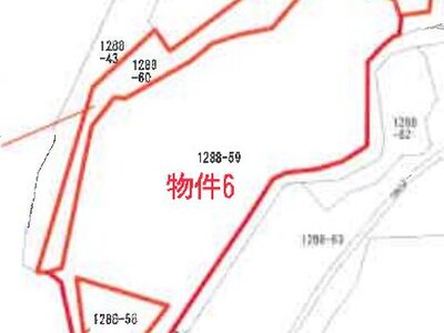 鹿児島県奄美市 農地 107万円の競売物件 #25