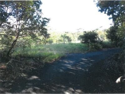 鹿児島県奄美市 農地 107万円の競売物件 #27