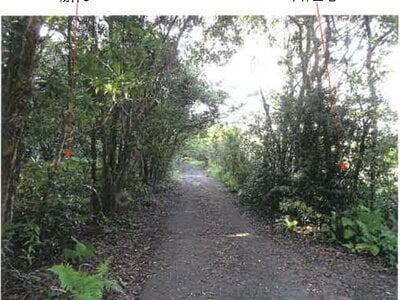 鹿児島県奄美市 農地 107万円の競売物件 #3