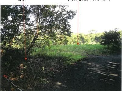 鹿児島県奄美市 農地 107万円の競売物件 #7
