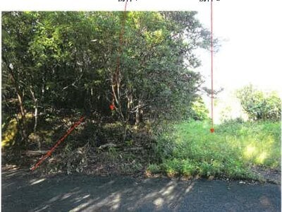 鹿児島県奄美市 農地 107万円の競売物件 #8