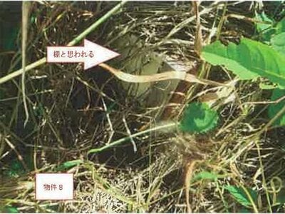 (値下げ) 山梨県北杜市 清里駅7分 土地 144万円の競売物件 #11