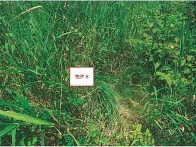 (値下げ) 山梨県北杜市 清里駅7分 土地 144万円の競売物件 #9