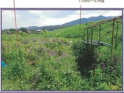 (値下げ) 山梨県西八代郡市川三郷町 市川大門駅14分 農地 62万円の競売物件 #10