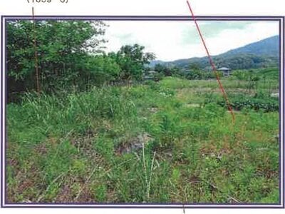 (値下げ) 山梨県西八代郡市川三郷町 市川大門駅14分 農地 62万円の競売物件 #13