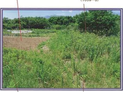 (値下げ) 山梨県西八代郡市川三郷町 市川大門駅14分 農地 62万円の競売物件 #14