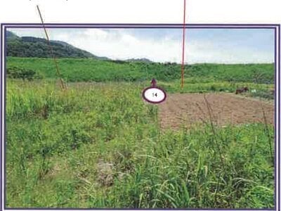 (値下げ) 山梨県西八代郡市川三郷町 市川大門駅14分 農地 62万円の競売物件 #15