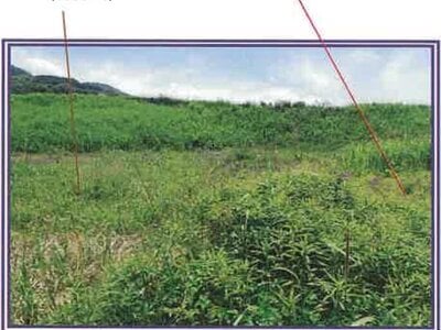 (値下げ) 山梨県西八代郡市川三郷町 市川大門駅14分 農地 62万円の競売物件 #16