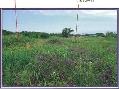 (値下げ) 山梨県西八代郡市川三郷町 市川大門駅14分 農地 62万円の競売物件 #17