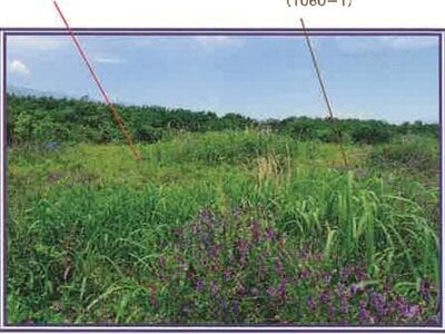 (値下げ) 山梨県西八代郡市川三郷町 市川大門駅14分 農地 62万円の競売物件 #8