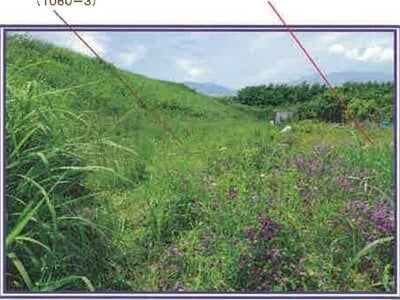 (値下げ) 山梨県西八代郡市川三郷町 市川大門駅14分 農地 62万円の競売物件 #9