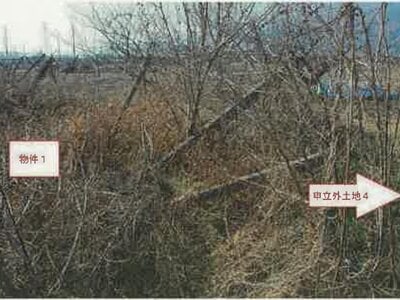 山梨県南アルプス市 塩崎駅 農地 112万円の競売物件 #11