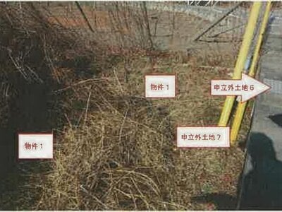 山梨県南アルプス市 塩崎駅 農地 112万円の競売物件 #3