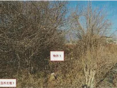 山梨県南アルプス市 塩崎駅 農地 112万円の競売物件 #5