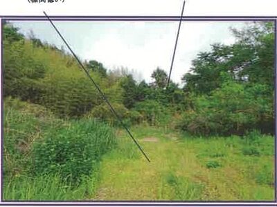 (値下げ) 山梨県笛吹市 甲斐住吉駅 農地 733万円の競売物件 #12