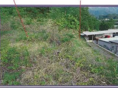 (値下げ) 山梨県笛吹市 甲斐住吉駅 農地 733万円の競売物件 #13