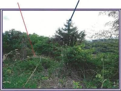 (値下げ) 山梨県笛吹市 甲斐住吉駅 農地 733万円の競売物件 #21