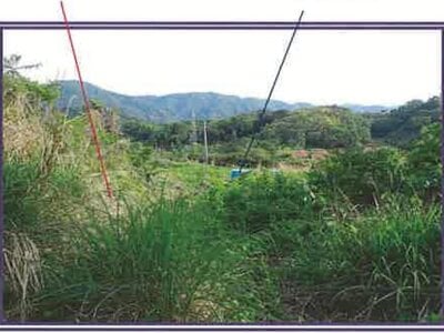 (値下げ) 山梨県笛吹市 甲斐住吉駅 農地 733万円の競売物件 #23
