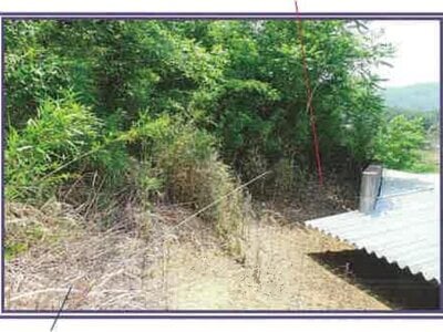 (値下げ) 山梨県笛吹市 甲斐住吉駅 農地 733万円の競売物件 #43
