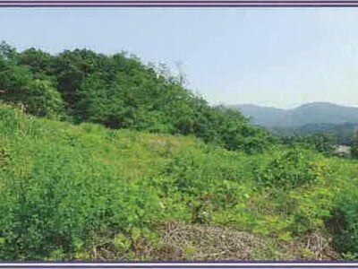 (値下げ) 山梨県笛吹市 甲斐住吉駅 農地 733万円の競売物件 #47