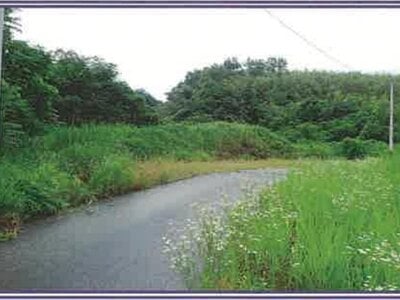 (値下げ) 山梨県笛吹市 甲斐住吉駅 農地 733万円の競売物件 #63
