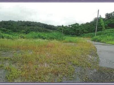 (値下げ) 山梨県笛吹市 甲斐住吉駅 農地 733万円の競売物件 #64