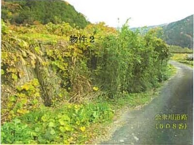 鳥取県八頭郡八頭町 丹比駅8分 土地 527万円の競売物件 #3