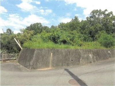 (値下げ) 徳島県吉野川市 牛島駅20分 土地 219万円の競売物件 #1