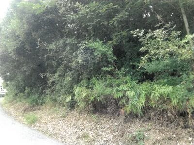 (値下げ) 徳島県吉野川市 牛島駅20分 土地 219万円の競売物件 #4