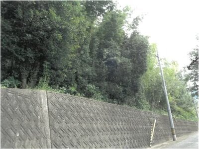 (値下げ) 徳島県吉野川市 牛島駅20分 土地 219万円の競売物件 #7