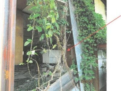 (値下げ) 徳島県吉野川市 鴨島駅12分 戸建て 175万円の競売物件 #17