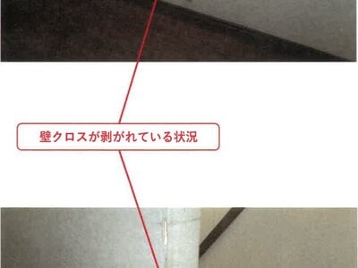徳島県板野郡松茂町 金比羅前駅 戸建て 387万円の競売物件 #13