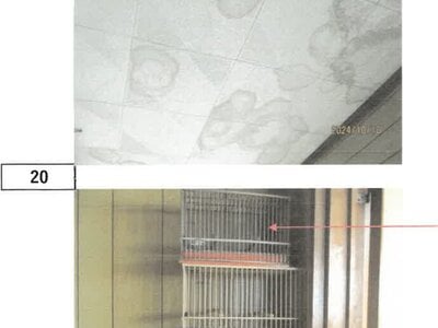 (値下げ) 徳島県小松島市 南小松島駅15分 戸建て 262万円の競売物件 #16
