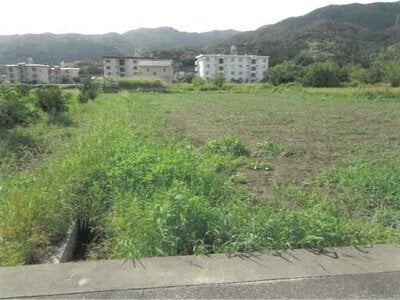 (値下げ) 徳島県吉野川市 鴨島駅20分 農地 230万円の競売物件 #1