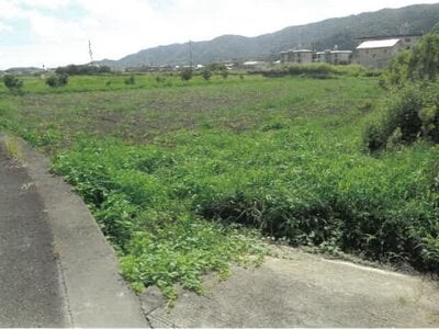 (値下げ) 徳島県吉野川市 鴨島駅20分 農地 230万円の競売物件 #2