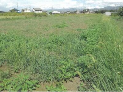 (値下げ) 徳島県吉野川市 鴨島駅20分 農地 230万円の競売物件 #3
