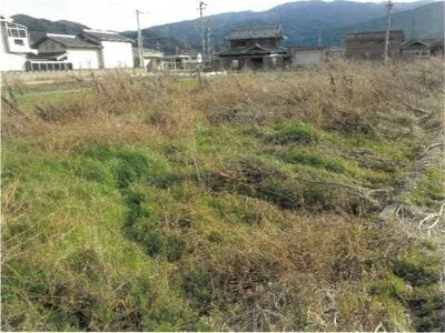 徳島県吉野川市 阿波山川駅8分 農地 36万円の競売物件 #2