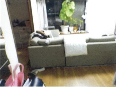 福岡県福岡市東区 唐の原駅5分 マンション「コアマンション和白東パセオ」1,067万円の競売物件 #2