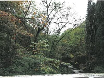 岐阜県高山市 土地 211万円の競売物件 #6