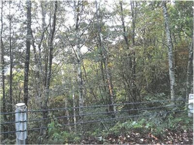 岐阜県飛騨市 土地 29万円の競売物件 #5