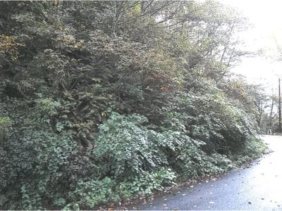 岐阜県飛騨市 土地 1万円の競売物件 #4
