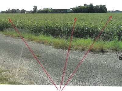 岐阜県海津市 美濃山崎駅 農地 47万円の競売物件 #1