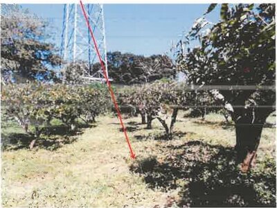 神奈川県伊勢原市 伊勢原駅10分 戸建て 2,120万円の競売物件 #12